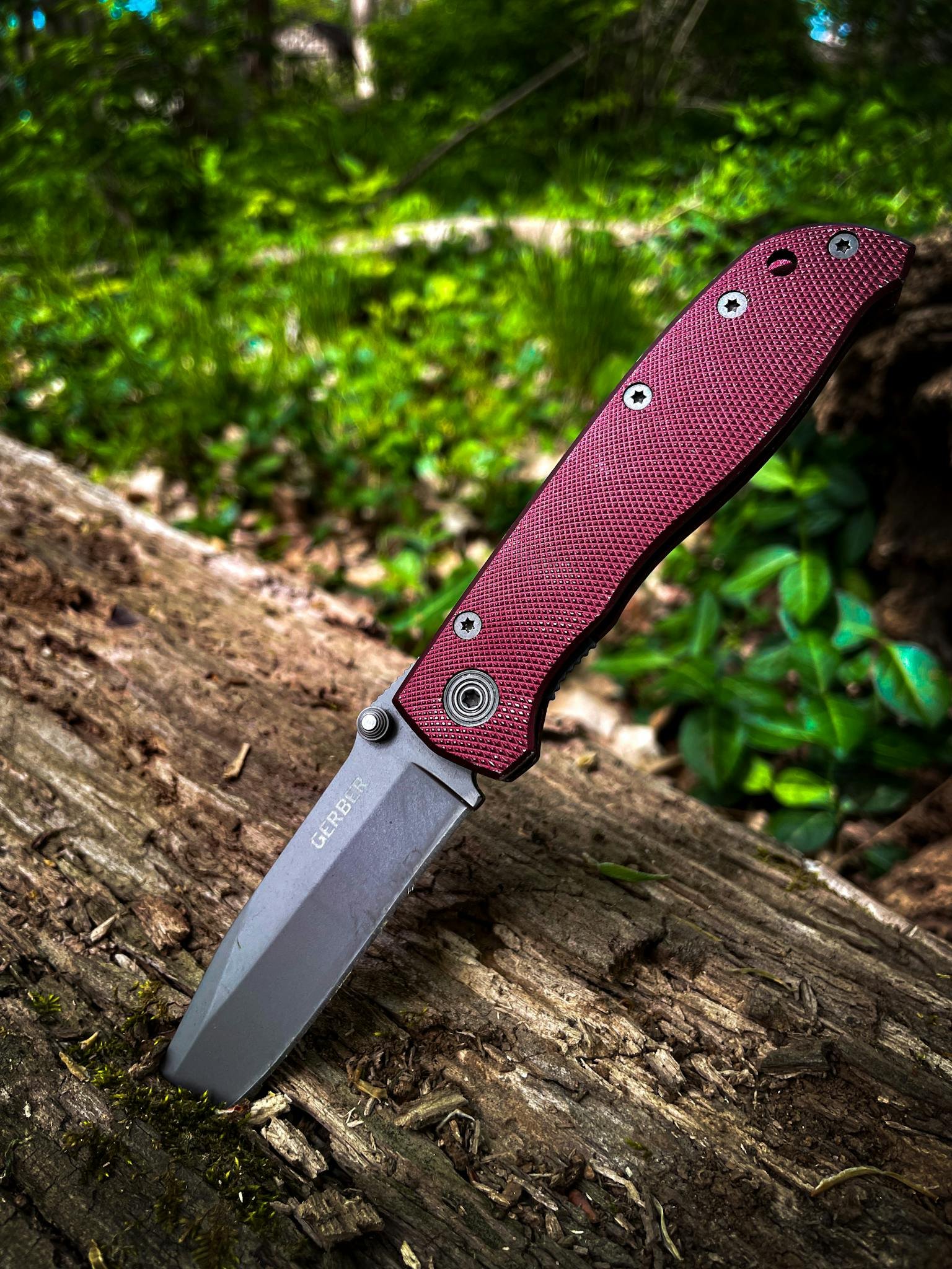 Detailed view of a red handled knife embedded in a log in a lush outdoor setting.